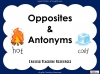 Opposites and Antonyms Teaching Resources (slide 1/10)